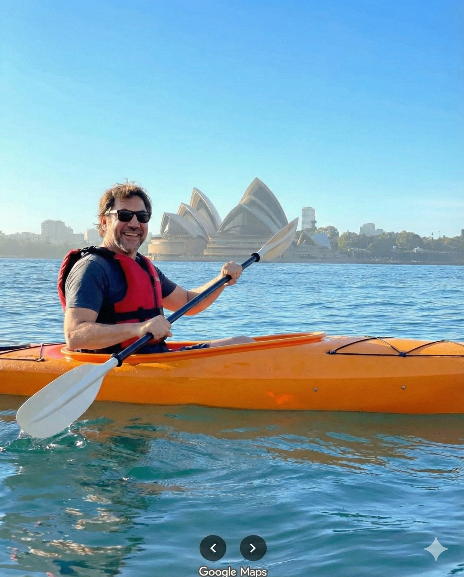 Wildlife Spotting While Kayaking Sydney Harbour